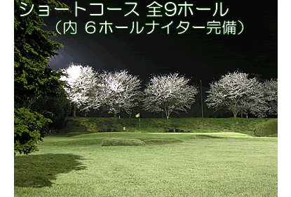 千葉のゴルフ練習場 ダイナミックゴルフ千葉「ショートコースナイター完備」
