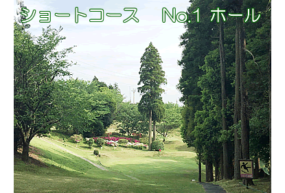 千葉のゴルフ練習場 ダイナミックゴルフ千葉』『ショートコース スタートホール』