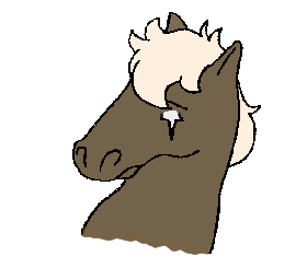 �T�C�L���E