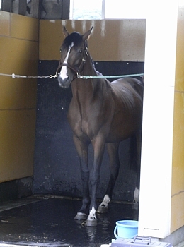 tTC`zEI[