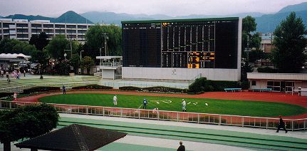 札幌競馬場パドック