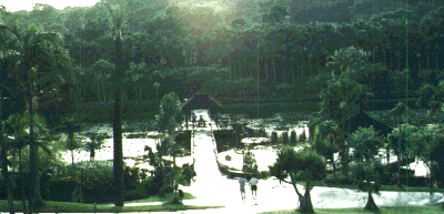 ����A����