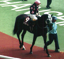 ���t�p�h�b�N�̃A�t�^�[���[