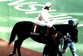 �}�C���[�Y�b�r�b�O�T���f�[