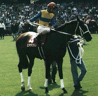 �ڍ��L�O�G�A�_�u����1