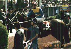 �ڍ��L�O�G�A�_�u����2