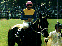 ���g���|���^���p�h�b�N�̃_�u����4