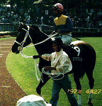 ���g���|���^���p�h�b�N�̃_�u����6