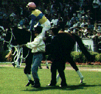 ���g���|���^���p�h�b�N�̃_�u����3