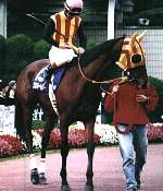 96�G���U�x�X�����t�p�h�b�N�̃_���X�p�[�g�i�[���l��