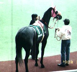 �`���[���b�v�܃_���c�V���E�X1