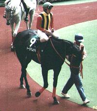 �Z���g�E���̃h�[�W�}���e�L