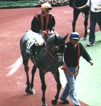 �Z���g�E���̃G�C�V���o�[����