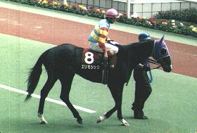 ���t�G�����V�b�N