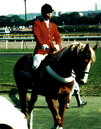 �g�E�V���E�t�@���R