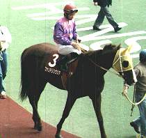 ���t�t�@���h���������A