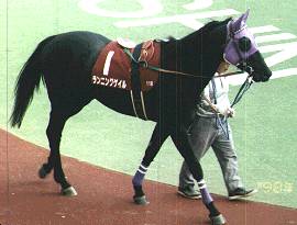 ���t�����j���O�Q�C��