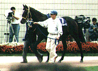 96�H�؏܃p�h�b�N�̃G�A�O���[��1