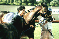 96�H�؏܃p�h�b�N�̃G�A�O���[��2