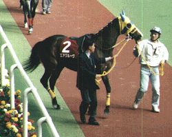 ���t�G�A�O���[��