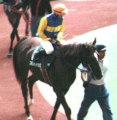 �Z���g�E���̃X�M�m�n���J�[