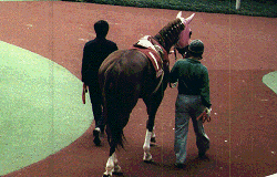 ���t�p�h�b�N�̃C�V�m0