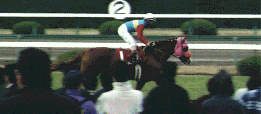 ���t�Ԃ��n�̃C�V�m�T���f�[