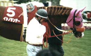 �C�V�m�T���f�[���s�L�O�p�h�b�N