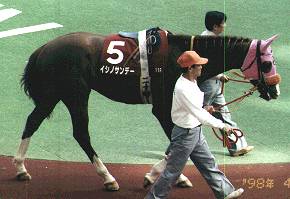 ���t�C�V�m�T���f�[