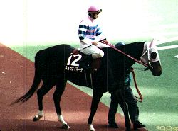 �}�C���[�Y�b�L���E�G�C�}�[�`