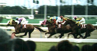 ���s�L�O�ŏ��̒���