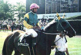 ���C�����X�Y�J