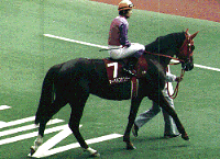 ���t�p�h�b�N�̃}�[�x���X