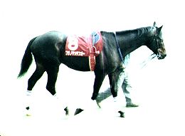 �}�C���[�Y�b�t�W�m�}�b�P���I�[