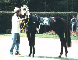 �}�R�g���C�f���p�h�b�N1