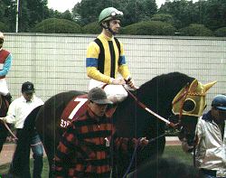 �~�b�h�i�C�g�x�b�g���s�L�O�p�h�b�N