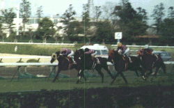 4�p���璼����