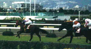 �����̒@������