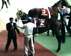 �}�C���[�Y�b�I�[�X�~�^�C�N�[��