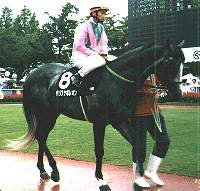 �։z�r�p���i�|