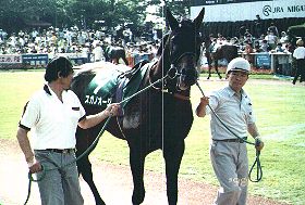 �X�K�m�I�[�W