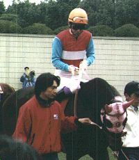 �d�܍ŏI�R��̓c��