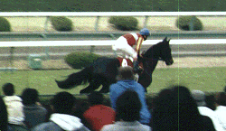 ���t�Ԃ��n�̃^�b�`