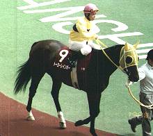 ���t�g�[���[���C���{�[