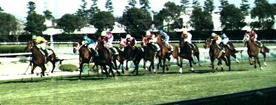 �`���[���b�v�܍Ō�̒���