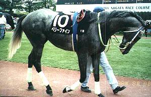 �x���[�t�@�C���p�h�b�N