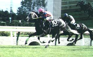 �x���[�t�@�C���S�[���O