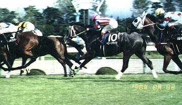 �x���[�t�@�C��������