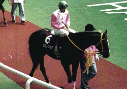 ���t�p�h�b�N�̃��E�g�E�Z�C