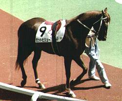 �[�b�g�q�����[